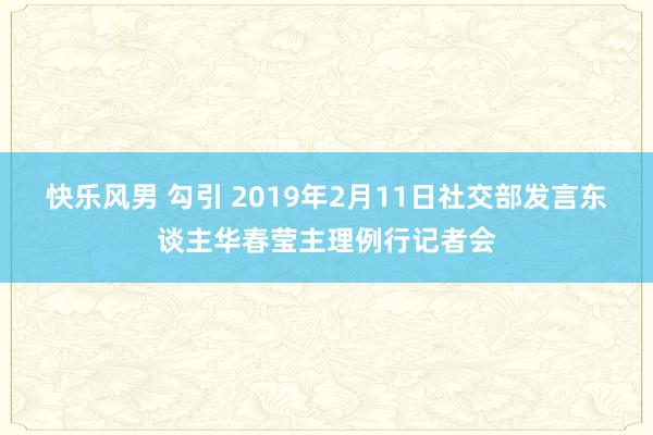 快乐风男 勾引 2019年2月11日社交部发言东谈主华春莹主理例行记者会