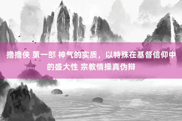 撸撸侠 第一部 神气的实质，以特殊在基督信仰中的盛大性 宗教情操真伪辩